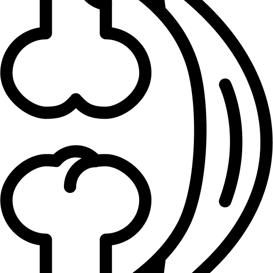 Lemmix koeratoit