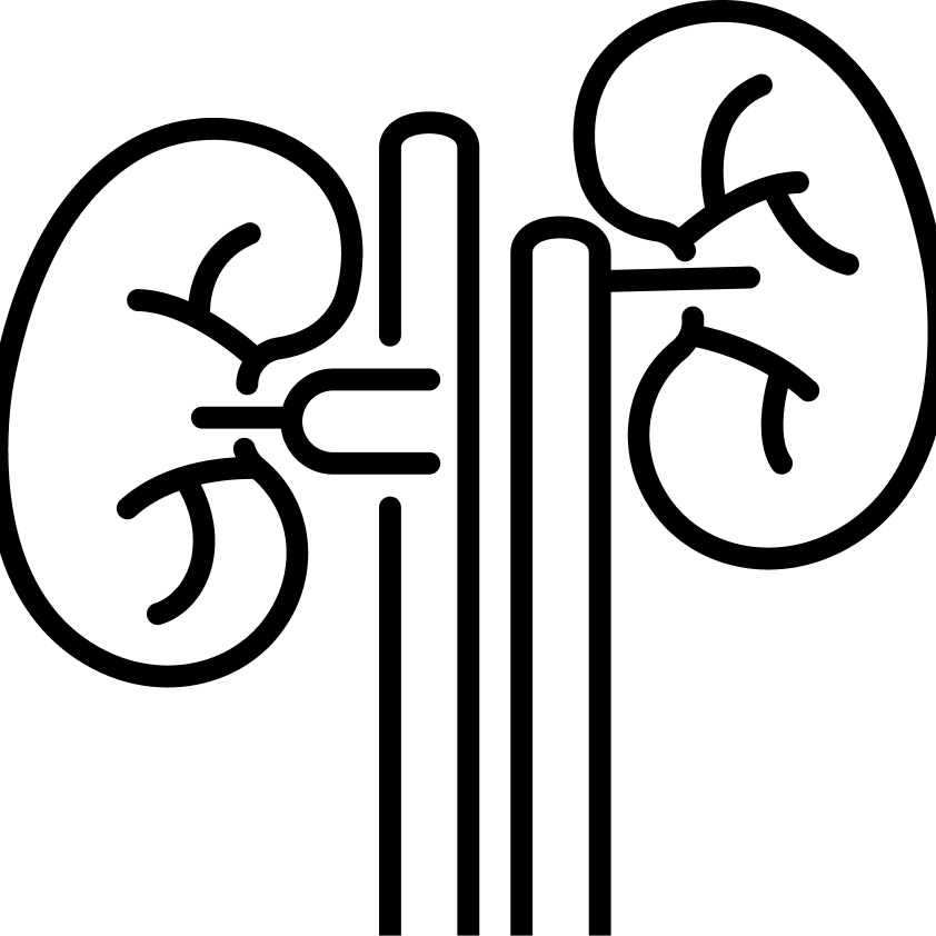 Lemmix koeratoit