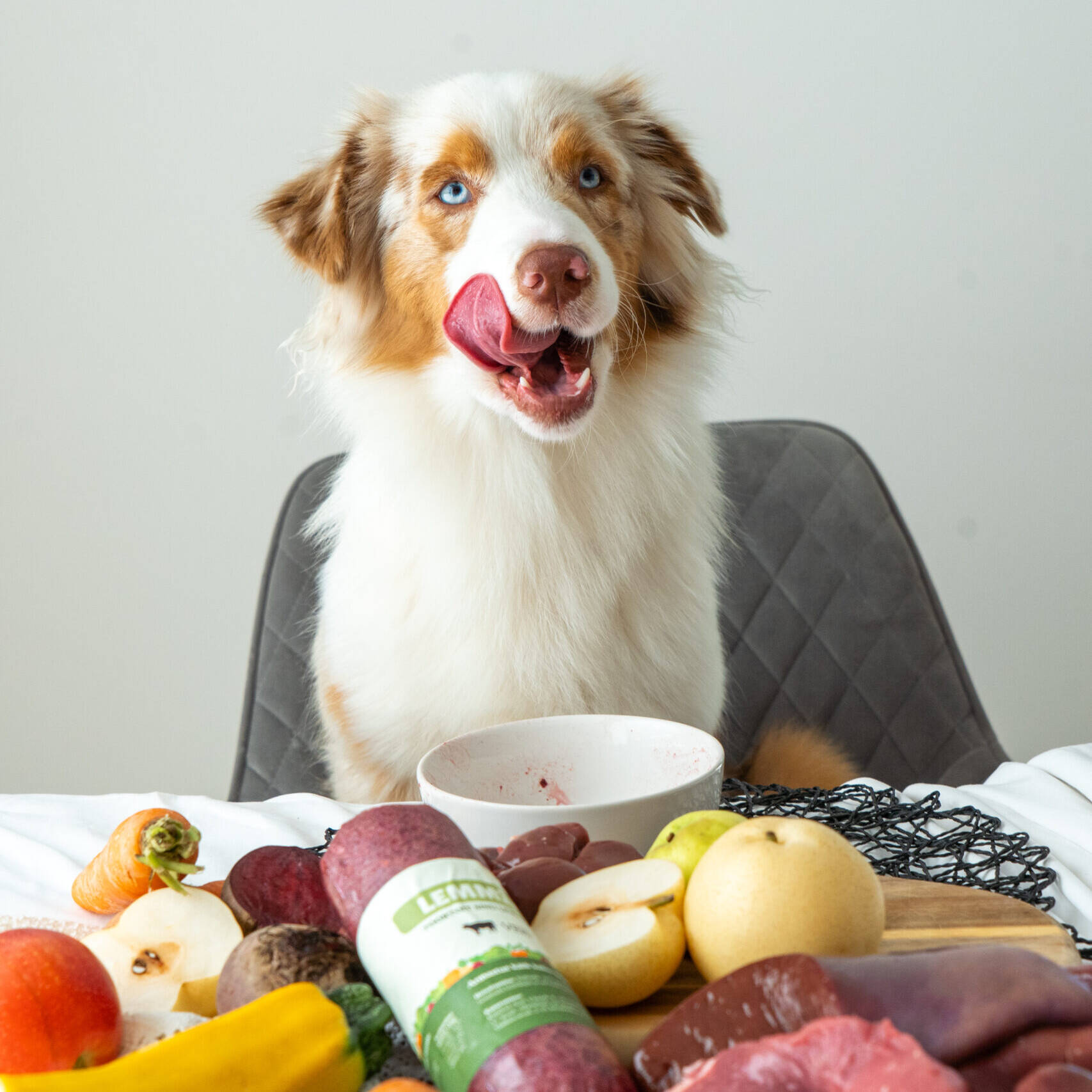 Lemmik nautimas Lemmix toortoitu