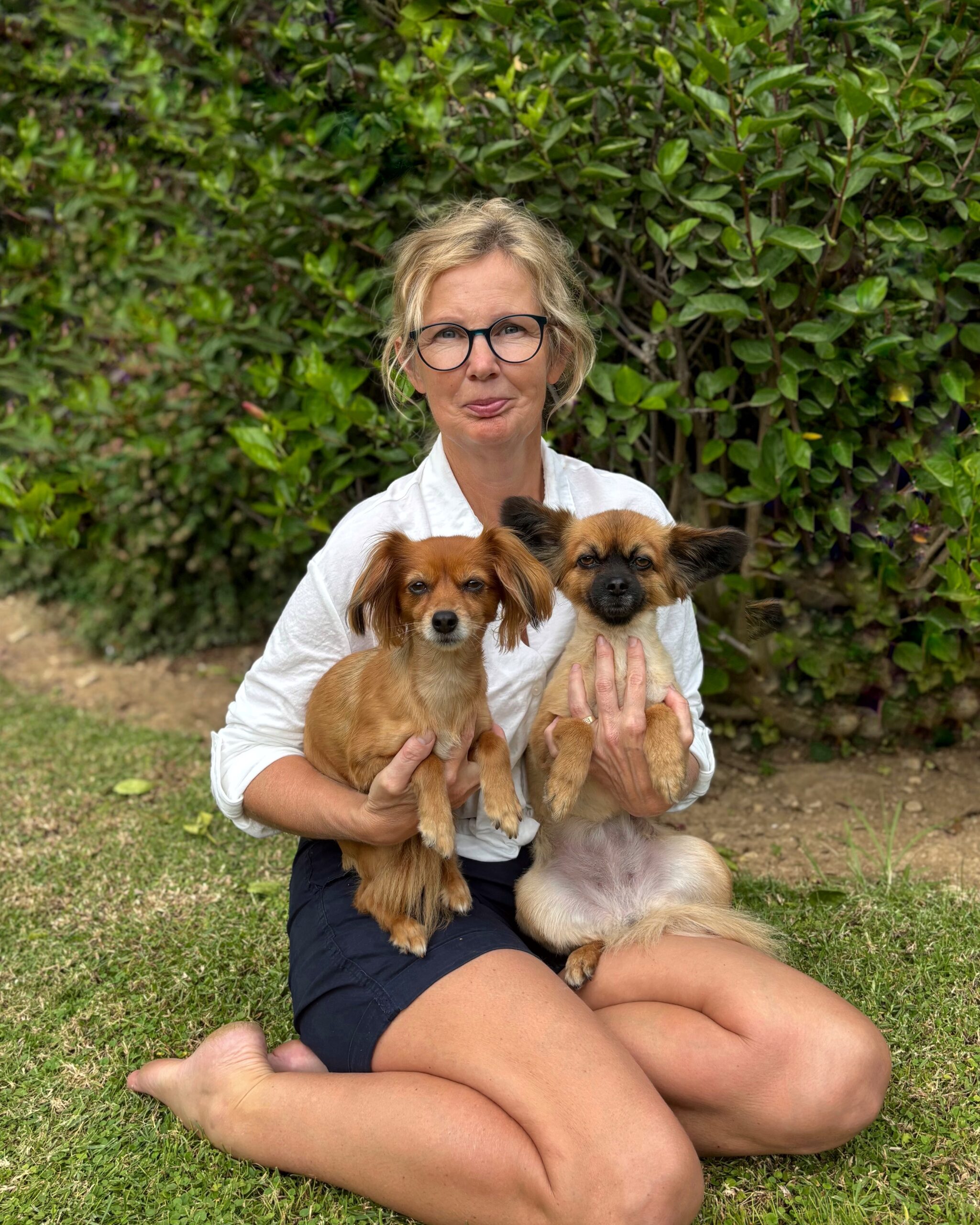 Lemmix pilt meie lugu