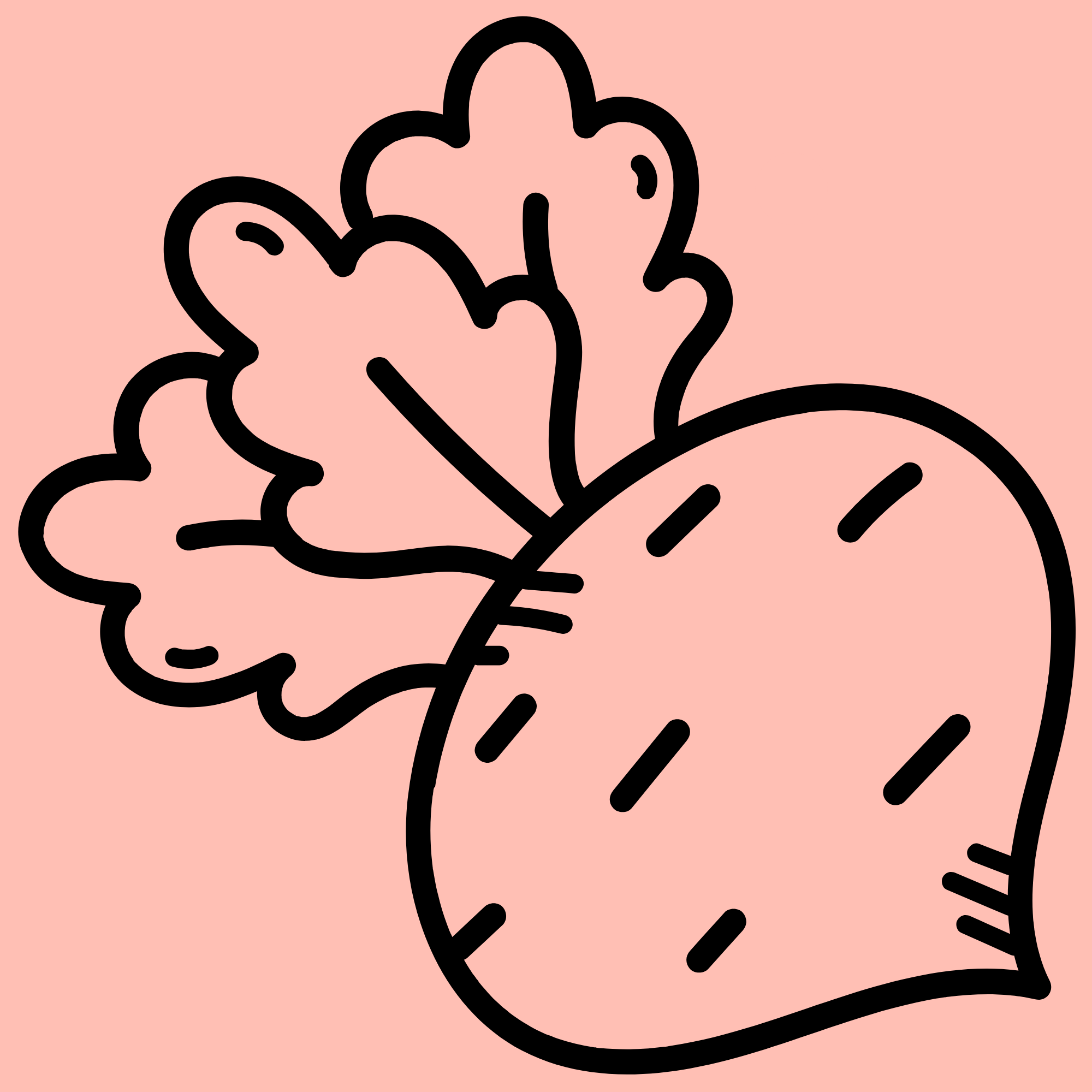 Loomapood toortoidule