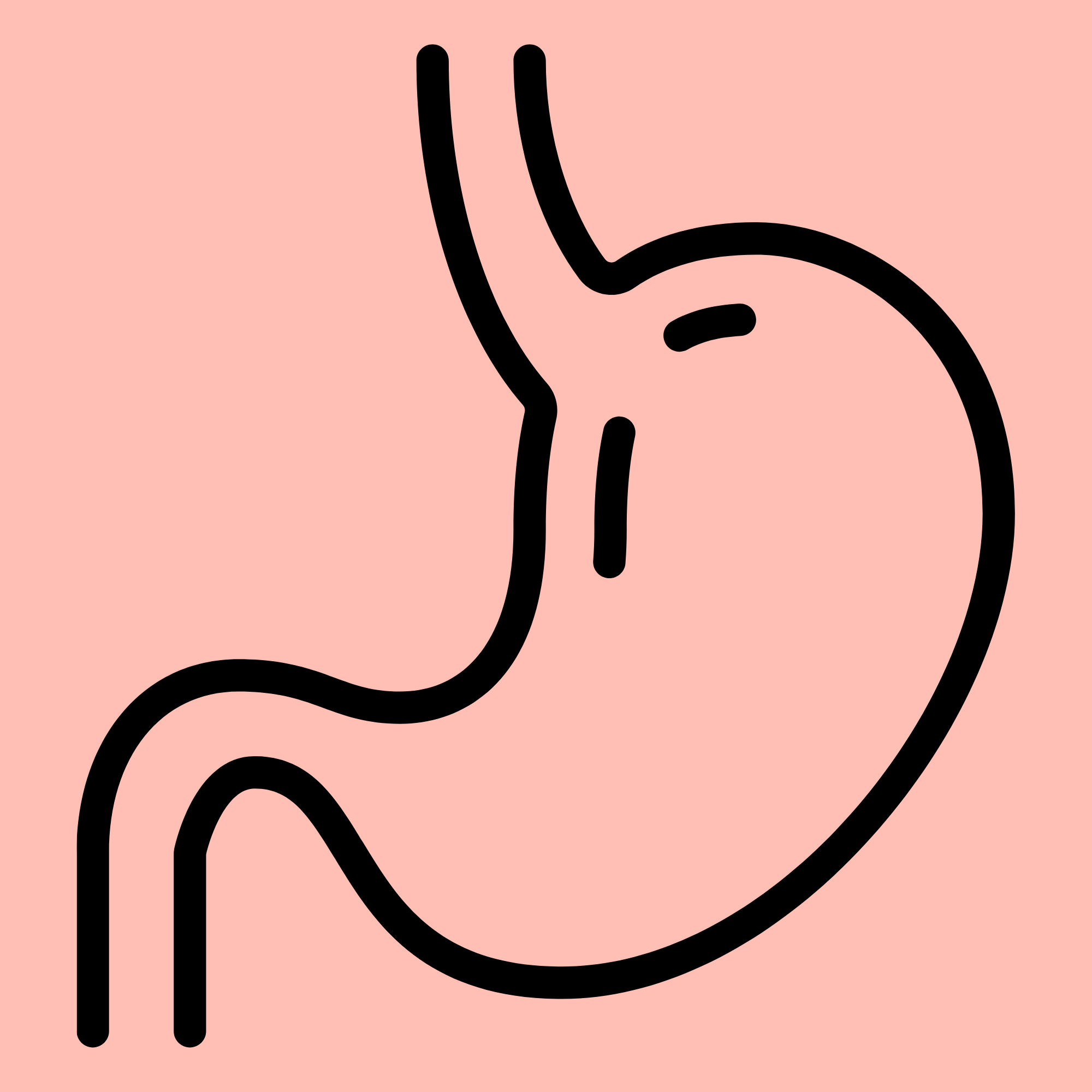 Veise toortoit koertele