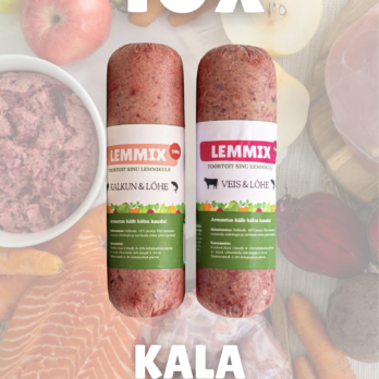 Toortoidu kala kombo