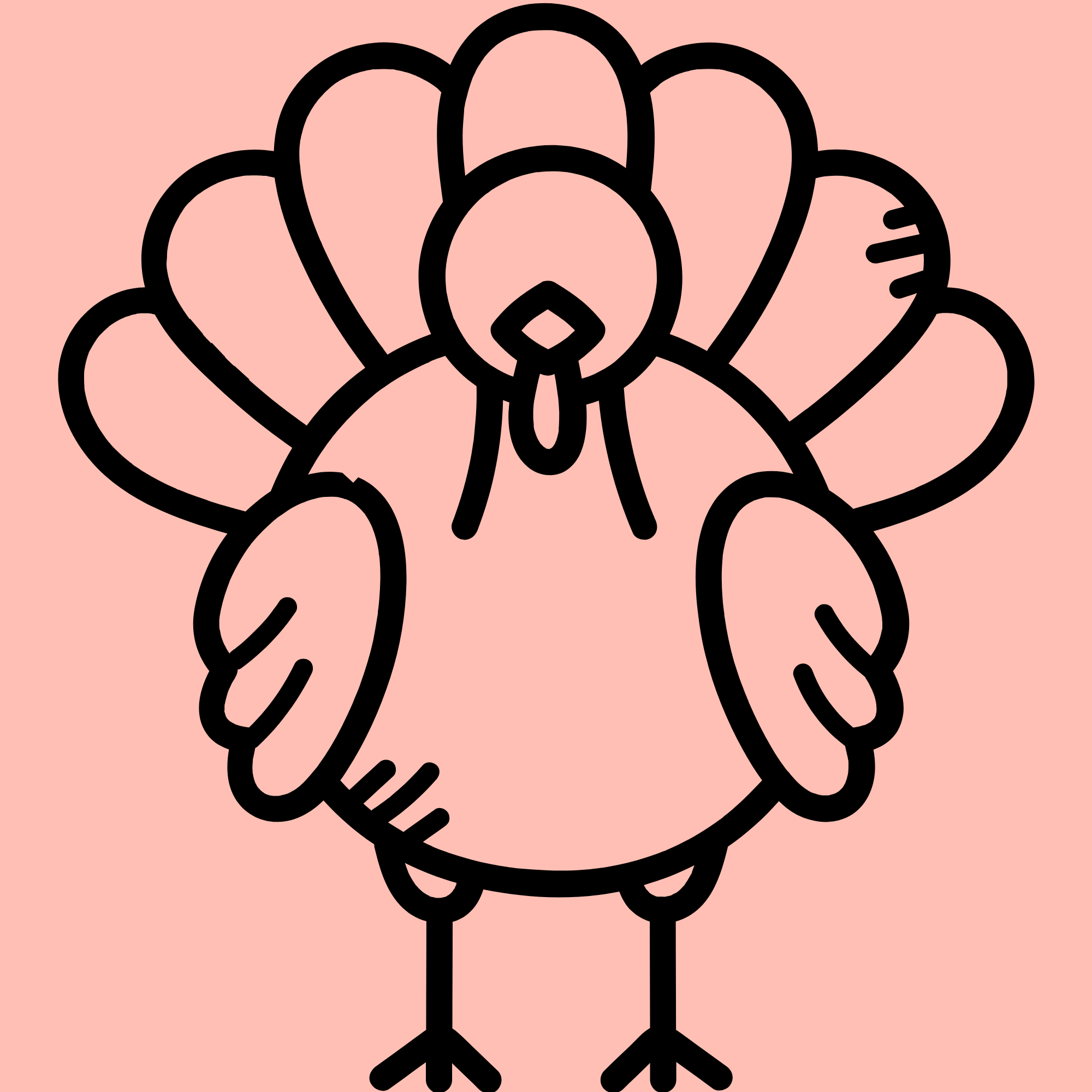 Kalkuni ja Lõhe toortoit koertele