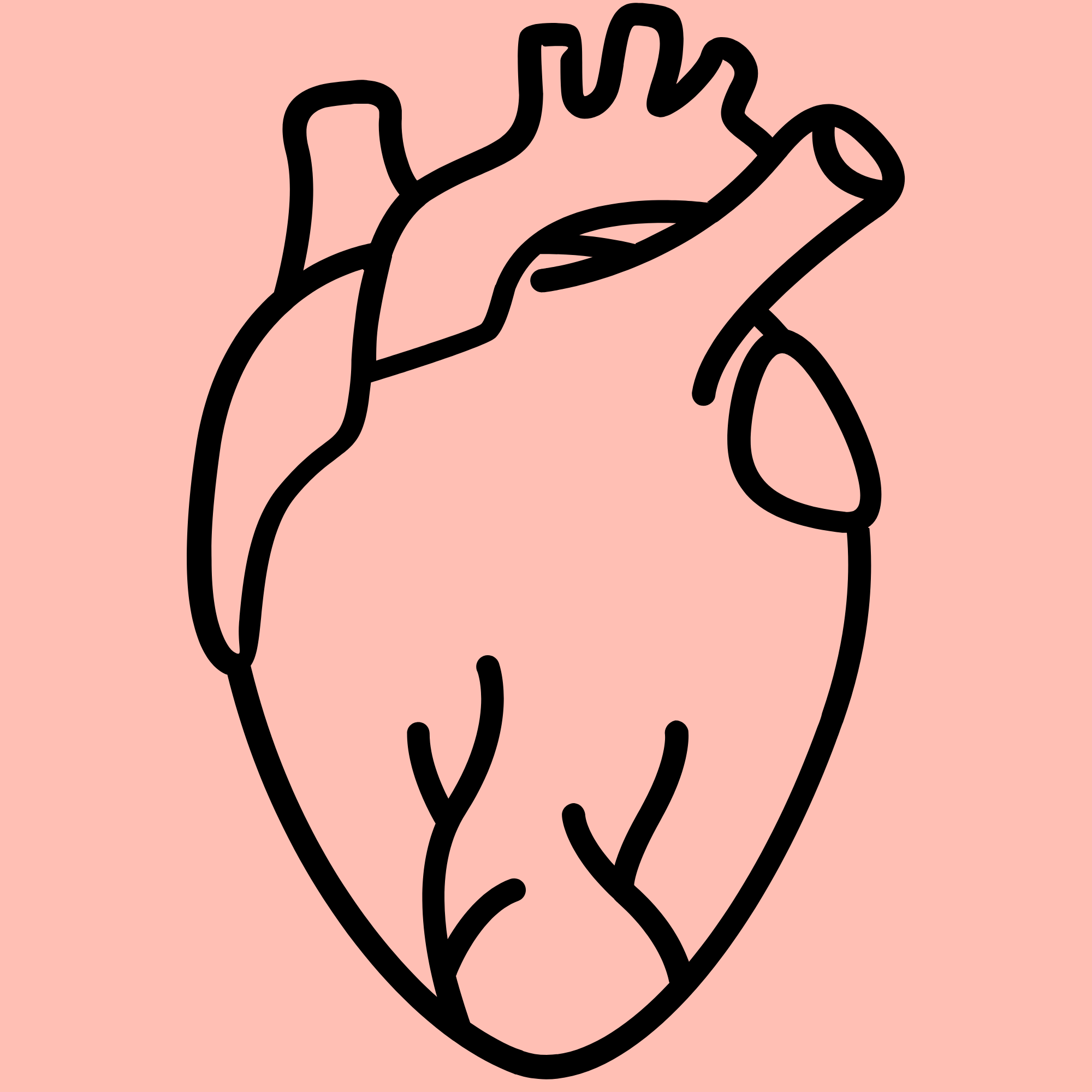 Lemmix pardi koera toit