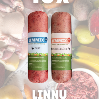 Koerte toortoidu kombo