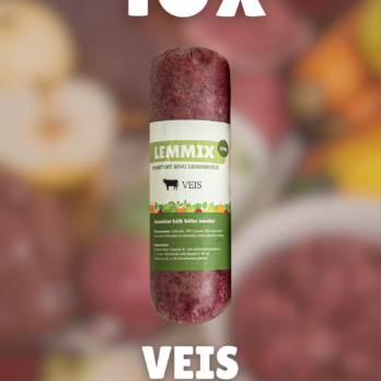 Koerte veise toortoit