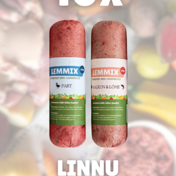 Koerte toortoidu kombo