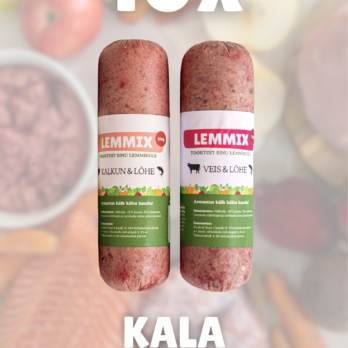 Toortoidu kala kombo